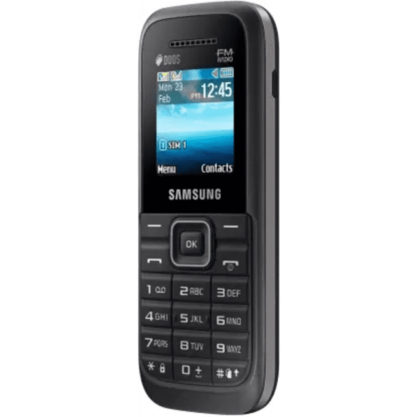 Samsung Guru B110E
